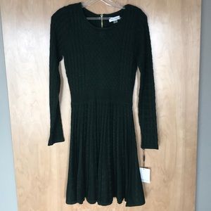 Calvin Klein sweater dress